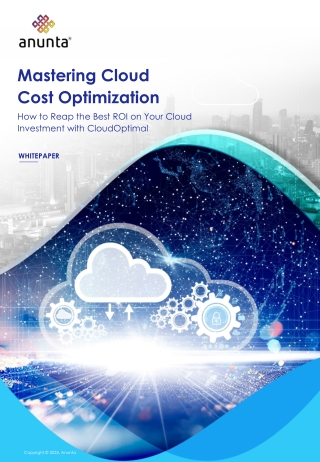 Mastering the Cloud Cost Optimization Maze