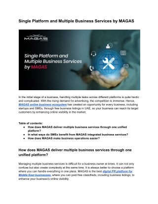 Single Platform and Multiple Business Services by MAGAS