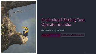 Professional Birding Tour Operator in India: Explore the Best Birding Destinatio