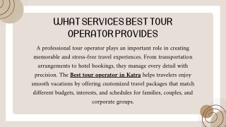 What Services Best Tour Operator Provides