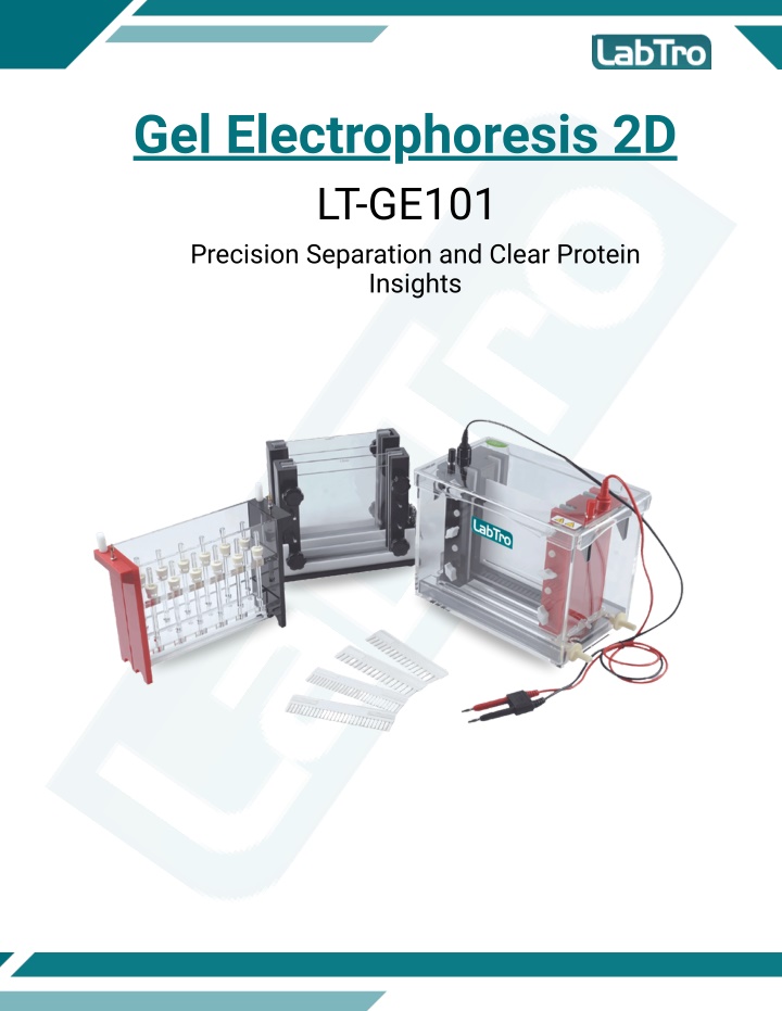 PPT - Gel Electrophoresis 2D LT-GEL101- protein gel electrophoresis ...