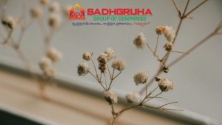 Sadhgruha Projects – Smart Investments Start Here