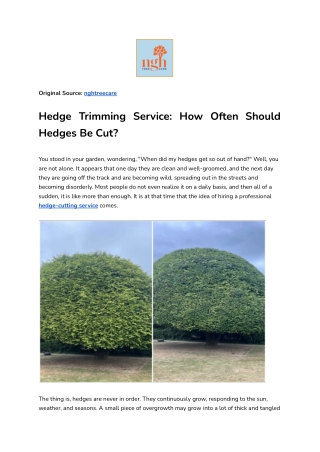 Hedge Trimming Service: How Often Should Hedges Be Cut?