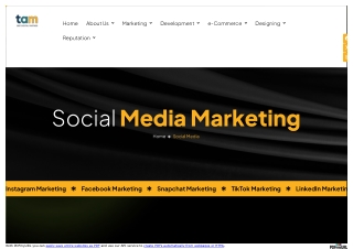 social media agency in noida