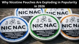 Why Nicotine Pouches Are Exploding in Popularity in 2026