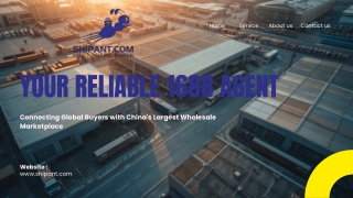 Reliable 1688 Agent in China for Global Buyers – ShipAnt