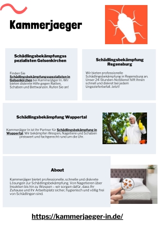 Schädlingsbekämpfungsspezialisten Gelsenkirchen