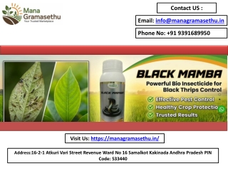 Nano Urea Liquid Fertilizer for High Crop Yield