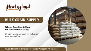 Bulk Grain Supply (Wheat, Corn, Rice & More): A Guide for Food Manufacturers