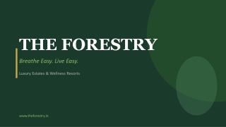 Private Luxury Resort Surrounded by Forest Serenity