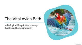 Avian_Bathing_Biology