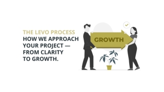 The Levo Process How We Approach Your Project From Clarity to Growth