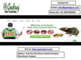 Post Construction Anti Termite Treatment – Protect Your Property