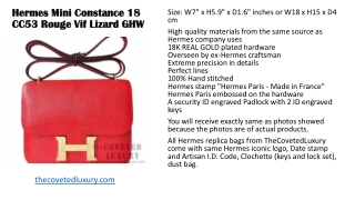 Chic & Sophisticated Luxury-Inspired Bags