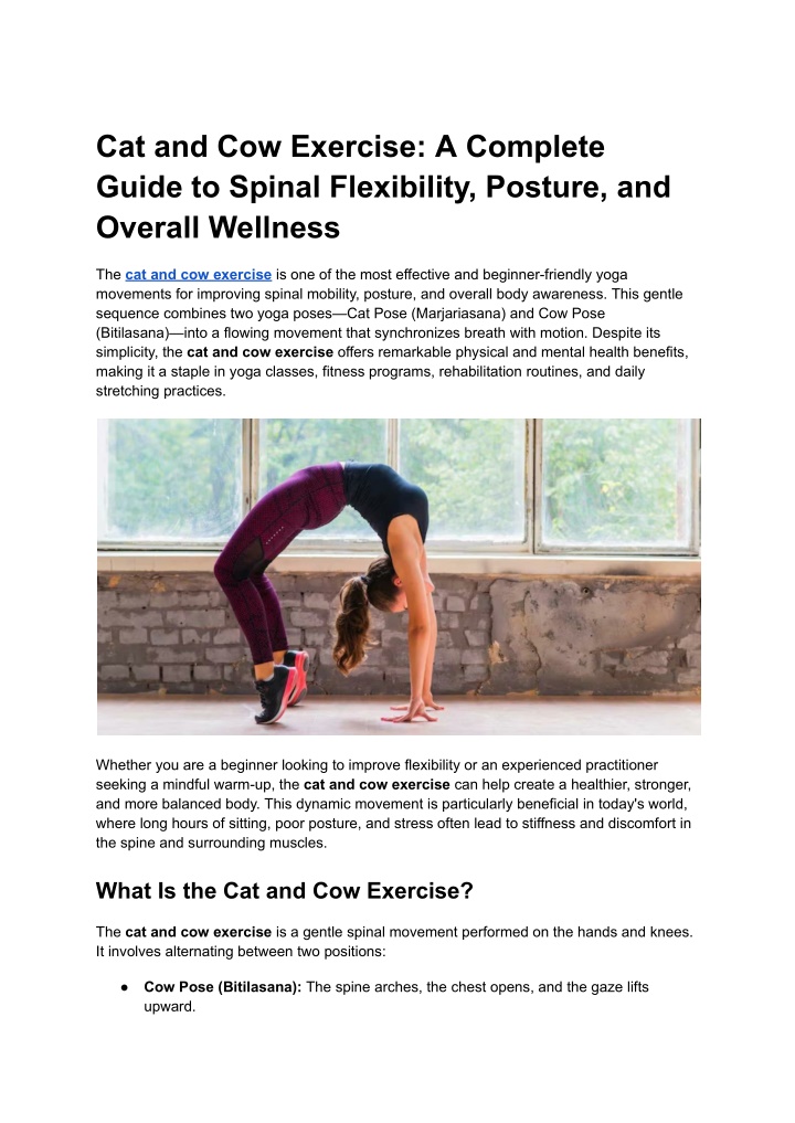 PPT - Cat and Cow Exercise PowerPoint Presentation, free download - ID ...