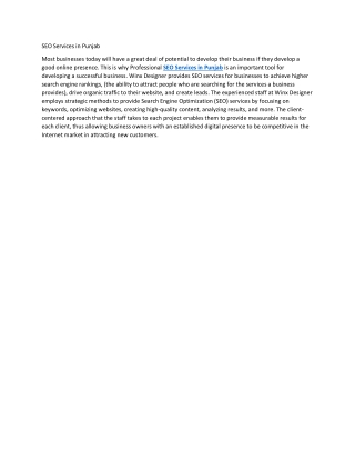 SEO Services in Punjab (2)