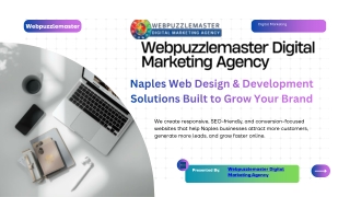 Naples Web Design & Development - Webpuzzlemaster Digital Marketing Agency
