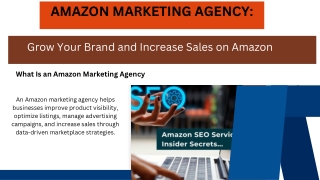 Amazon Marketing Agency Grow Your Brand and Increase Sales on Amazon