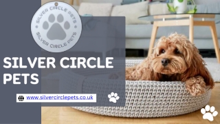 What Is a Dog Pushchair and When Do UK Dog Owners Need One?