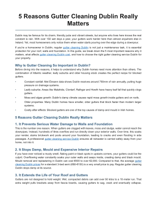 5 Reasons Gutter Cleaning Dublin Really Matters