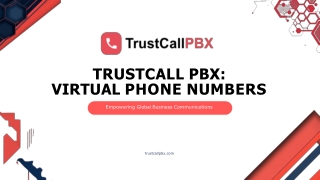 Instant Virtual Phone Numbers for New Businesses