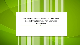 7. Microsoft Access Expert NJ and SEO Toms River Services for Growing Businesses