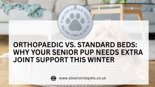 Orthopaedic vs. Standard Beds: Why Your Senior Pup Needs Extra Joint Support