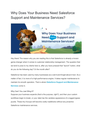 Why Does Your Business Need Salesforce Support and Maintenance Services_