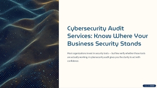 Cybersecurity Audit Services: Assess Your Business Security & Reduce Risks