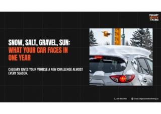 Snow, Salt, Gravel, Sun_ What Your Car Faces in One Year