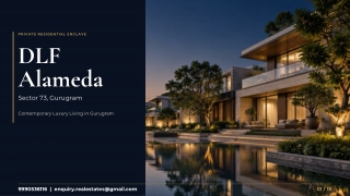 DLF Alameda Real Estate Pitch